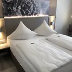 酒店 特朗布里克酒店 3*
